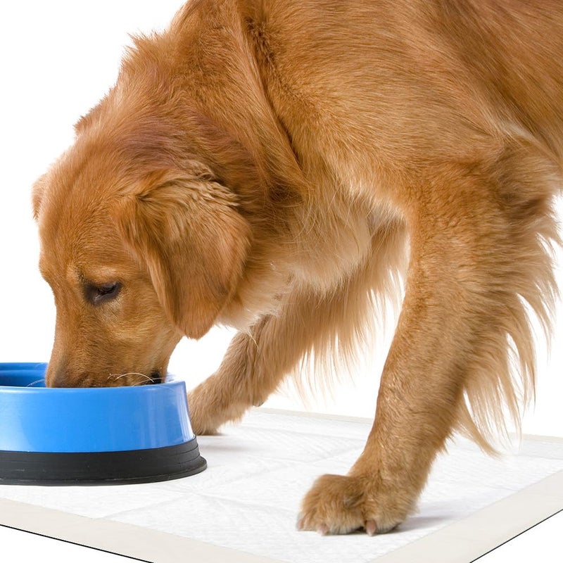 OUT! Petcare Large Dog Pee Pads, Disposable Quilted Training Pads with Pro-Grip, Leak Proof Absorbent Backing, Fast Drying, Puppy Housebreaking, Non Slip, Indoor Pet Potty Supplies, 21x21, 50 Count - Image 5