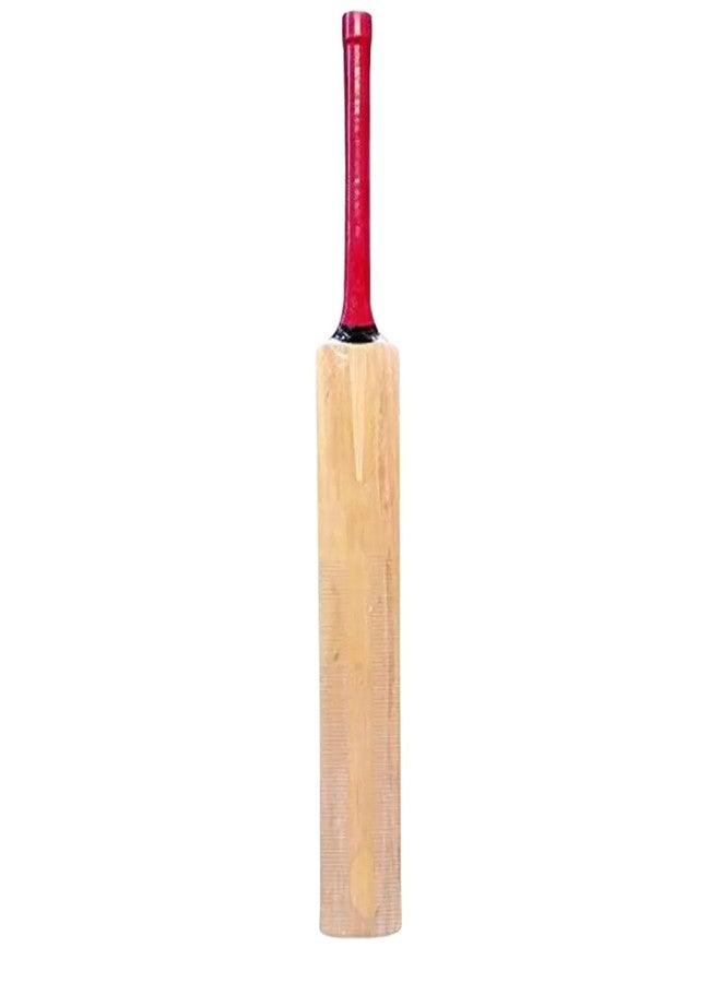 REGOLITH ENTERPRISES Leather Bat English Willow Cricket Bat for 15+ Yrs (1050-1100 g) - Image 1