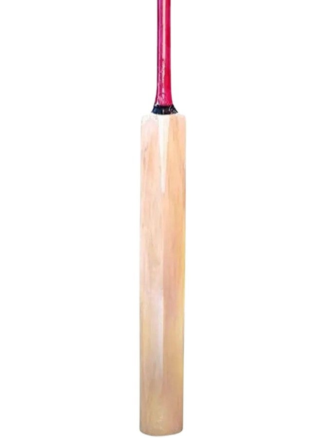 REGOLITH ENTERPRISES Leather Bat English Willow Cricket Bat for 15+ Yrs (1050-1100 g) - Image 3