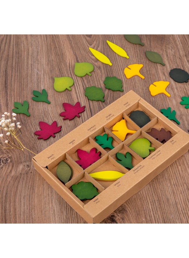 Color Building Blocks Leaves Puzzle Plant Three-dimensional Puzzle Cognitive Baby Training Concentration Wooden Toys-Color:W-wooden Autumn Leaves - Image 3