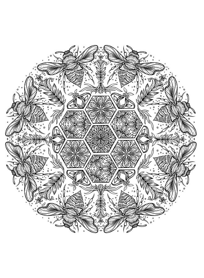 دائرة الحياة: رحلة تلوين - Image 4