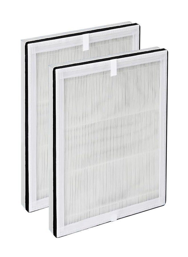 Molgoc Replacement Filter for Air Purifier,Compatible with Eoebot/MATONC Ganymede Air Purifier,H13 True HEPA,2Pack. - Image 1