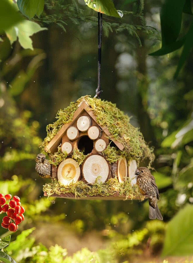 CEDAR ALPHA Forest Bluebird Bird House - Image 2