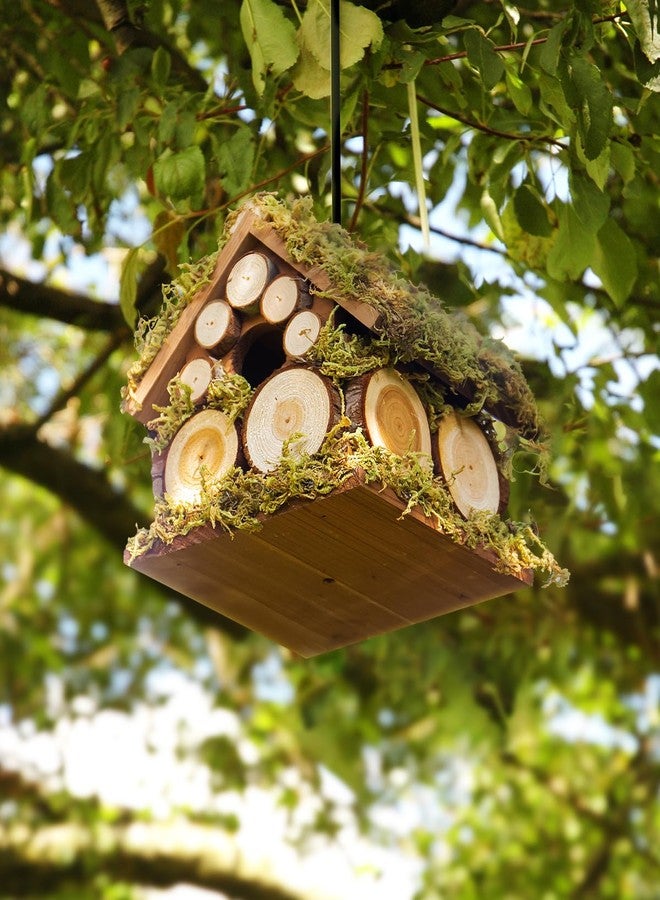 CEDAR ALPHA Forest Bluebird Bird House - Image 3