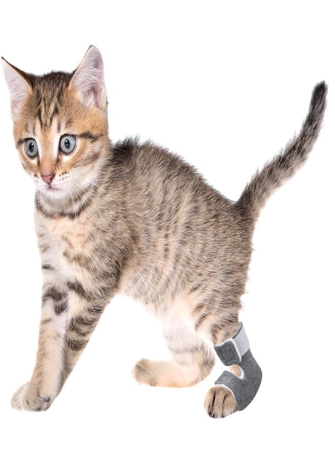 vomvomp 1 Pair Cat Hock Socks for Kitten Sore Hocks Ankle Protective for Cats Recovery and Relief Wound Pain - Image 5