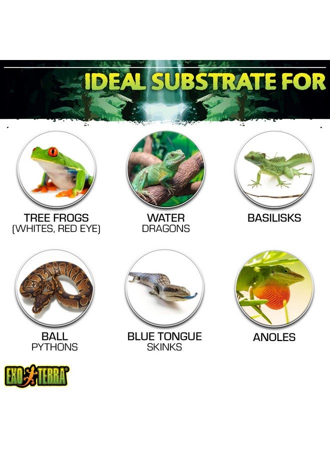 كاتيت ركيزة تيراريوم من قشر جوز الهند من إكسو تيرا، سعة 8 كوارت - Image 5