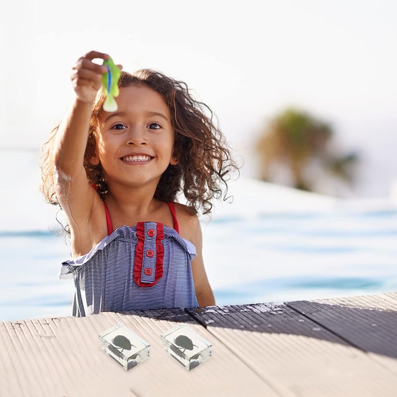 كلاراكو كلاركوا، قطعتان من العينات البيولوجية للحيوانات، ألعاب تعليمية علمية، قلادة عينة من العنبر، قلادة عينة عنكبوت، قلادة من الكريستال، عينات كريستال دقيقة، أداة حفريات راتنجية، مكتب - Image 4