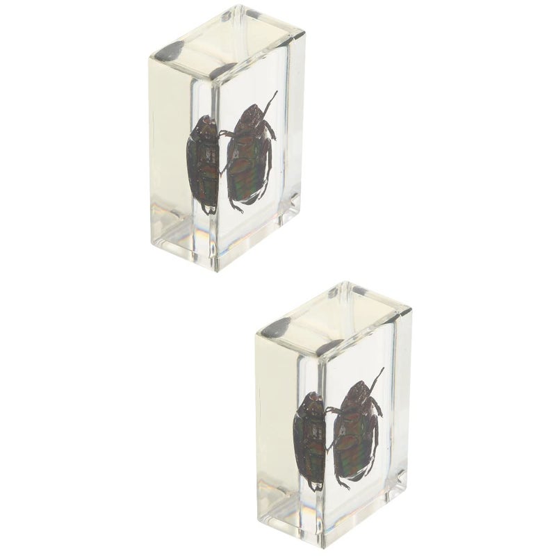 كلاراكو كلاركوا، قطعتان من العينات البيولوجية للحيوانات، ألعاب تعليمية علمية، قلادة عينة من العنبر، قلادة عينة عنكبوت، قلادة من الكريستال، عينات كريستال دقيقة، أداة حفريات راتنجية، مكتب - Image 1