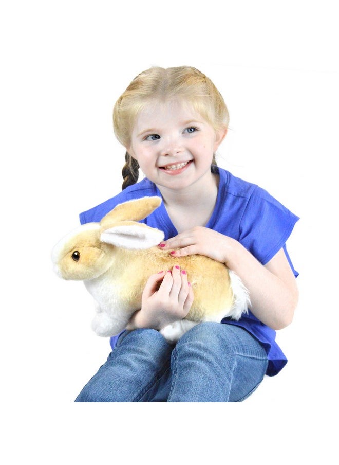 Ridley The Rabbit - 11 Inch Realistic Stuffed Animal Plush Bunny - By Tigerhart Toys - pzsku/ZE3AEEC22A82680CFD91BZ/45/_/1732773933/9f5491f9-264a-4601-ad87-9cb85047740f