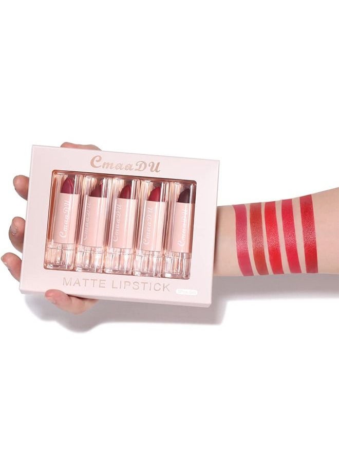 Matte Lipstick Makeup Set, Matte Long Wear Non-stick Cup, Colorfast Waterproof Lip Gloss 5-Pack