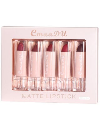 Matte Lipstick Makeup Set, Matte Long Wear Non-stick Cup, Colorfast Waterproof Lip Gloss 5-Pack - pzsku/ZE3AF326409D312FE61B1Z/45/_/1676534274/8b65e7f4-887a-41cc-9702-ed2e0f931822