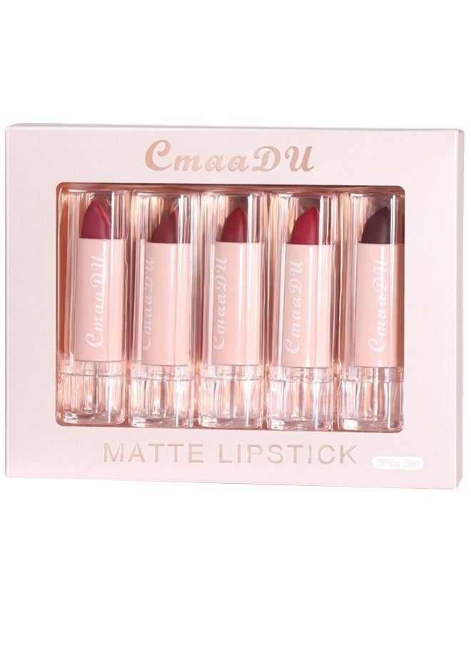Matte Lipstick Makeup Set, Matte Long Wear Non-stick Cup, Colorfast Waterproof Lip Gloss 5-Pack
