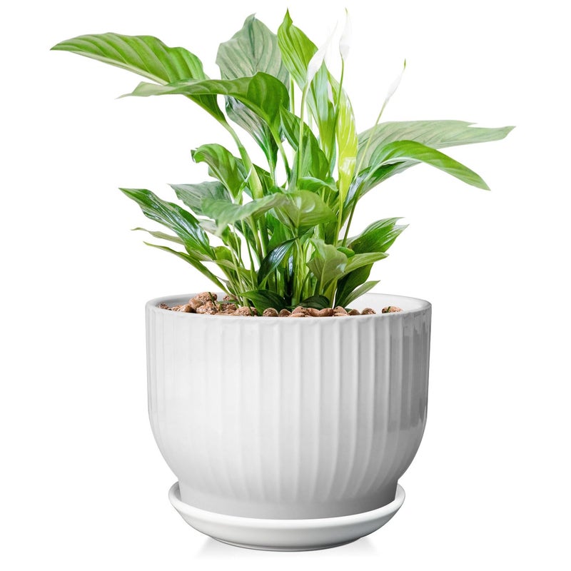 Yufda 8 Inch Plant Pot  Ceramic Planter With Drainage And Saucer  Ceramic Pots For Plants  Indoor Plant Pots Ceramic Flower Pots(Pure White  Plants Not Included) - Image 1