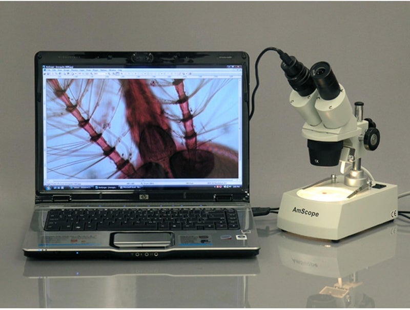 AmScope SE305RPZE1 Digital ForwardMounted Binocular Stereo Microscope WF10x and WF20x Eyepieces 10X20X30X60X Magnification 1X and 3X Objectives Upper and Lower Halogen Lighting Reversible BlackWhite Stage Plate Pillar Stand 120V Includes 13MP Camera and Software - Image 2