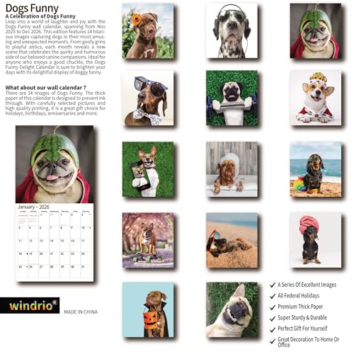 windrio 2026 Wall Calendar,Funny Calendar 2026, November 2025 - December 2026, Wall Calendar Funny Animal Memes, 12" x 24" Opened, Full Page 14 Months Thick Paper for Gift Calendar Organizing Planning - Image 2