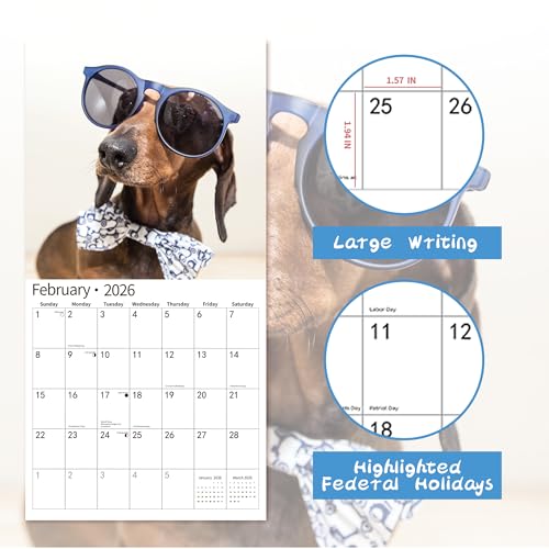 windrio 2026 Wall Calendar,Funny Calendar 2026, November 2025 - December 2026, Wall Calendar Funny Animal Memes, 12" x 24" Opened, Full Page 14 Months Thick Paper for Gift Calendar Organizing Planning - Image 3