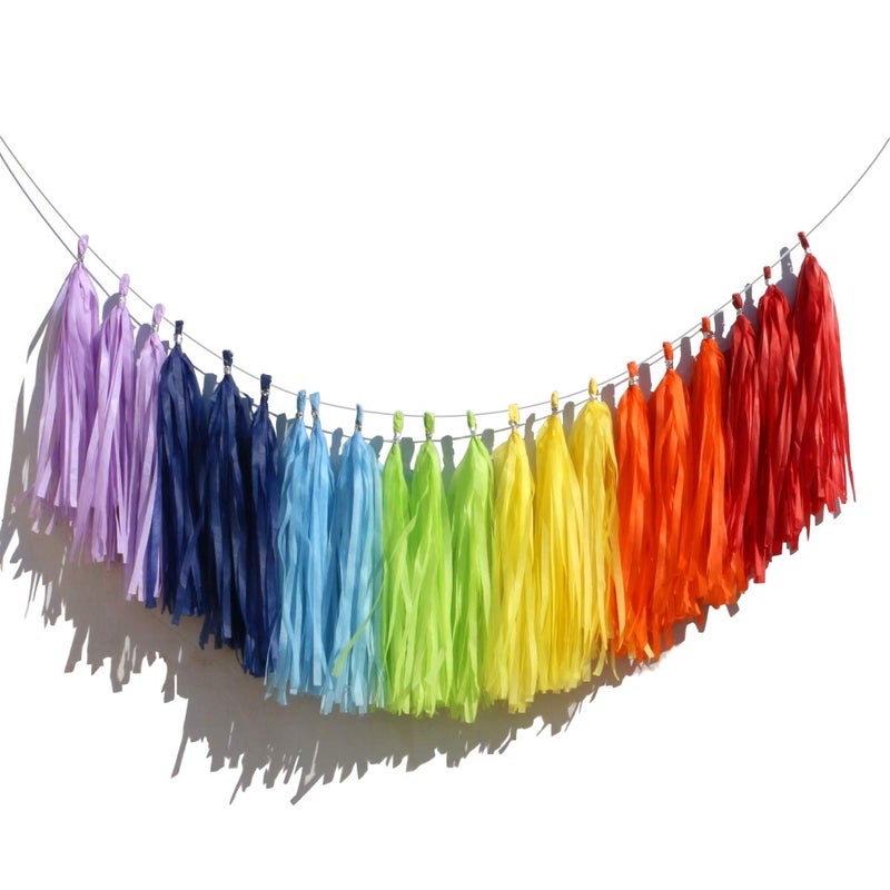 Binpeng 14in 21pcs Rainbow Paper Tassel DIY Hanging paper decorations Party Garland Decor for Party Decorations WeddingFestivalBaby Shower Decoration 21PCS Rainbow Tassels 7 Colors 21 PCS