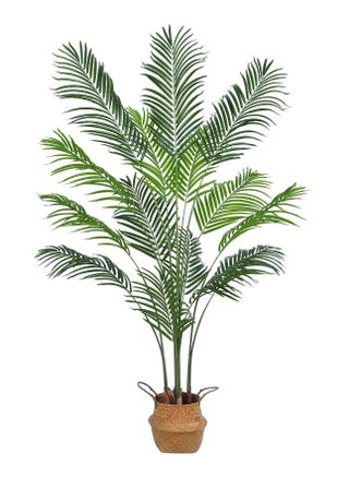 Palm Tree 160cm
