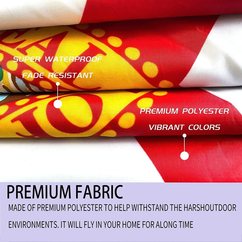ARSOF Florida State Flag 4x6 Double Sided Outdoor Heavy Duty 3 Ply with Durable Canvas Header and 2 Brass Grommets Vivid Colors FL Flags - Image 5