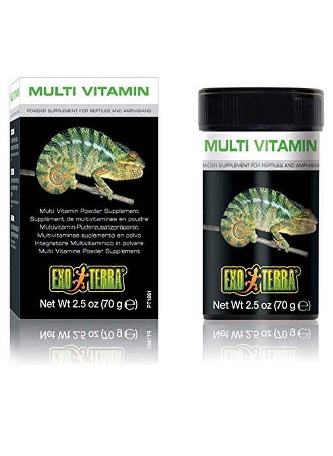 Exo Terra Multi Vitamin Powder Supplement For Reptiles And Amphibians, 2.5 Oz., Pt 1861  - Image 1