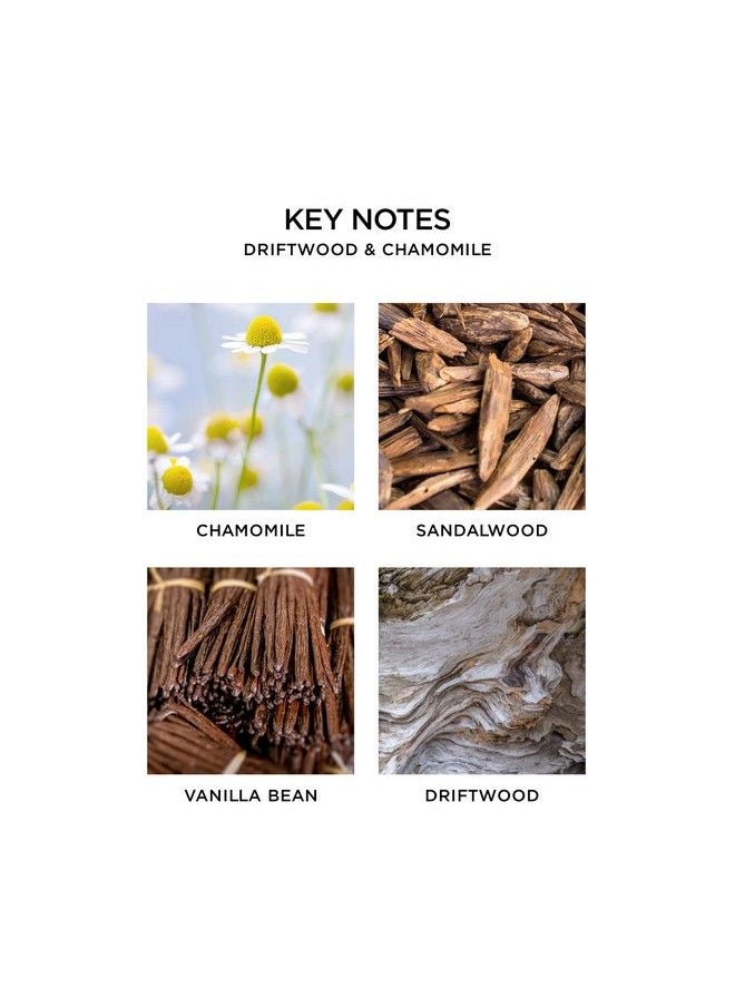 NEST FRAGRANCES Driftwood & Chamomile Liquid Hand Soap  - Image 3