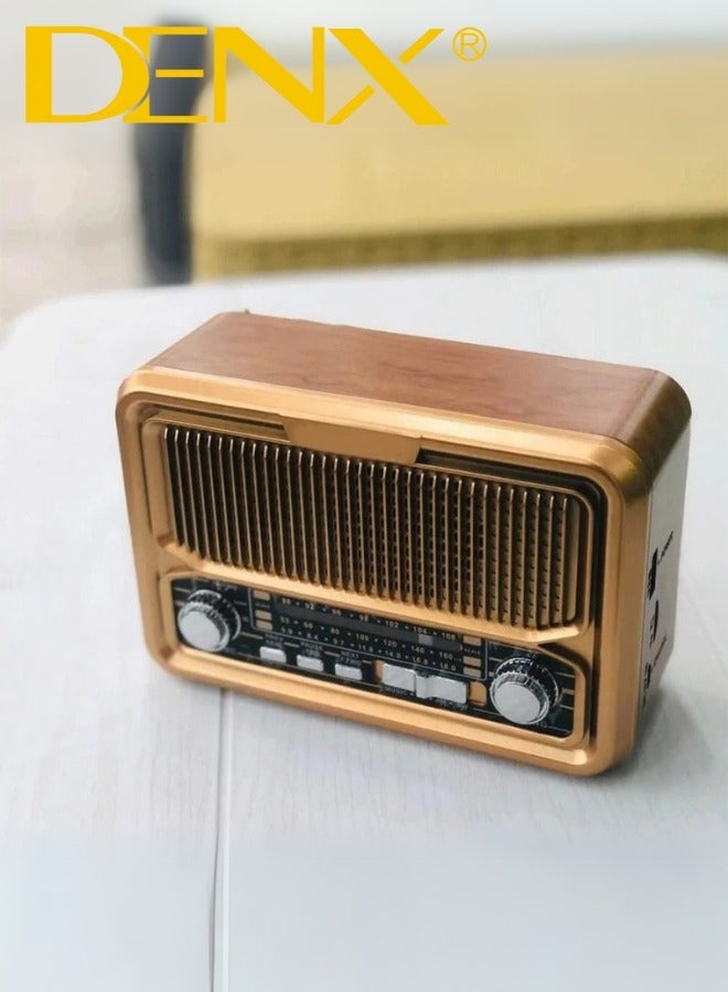 Denx HD Radio, FM/AM/SW, USB/TF/BT Player, Rechargeable Battery DX2445  - Image 2