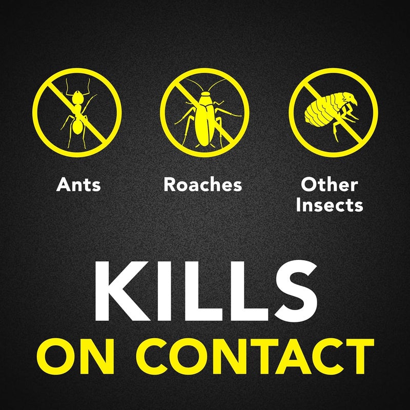 Raid Ant & Roach Killer Spray - Value Pack (2 x 17.5 oz) - Fragrance Free - Image 2