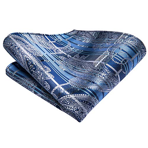 Dubulle Mens Paisley Floral Silk Tie for Men Blue Striped Necktie and Pocket Square Cufflinks Set Wedding Business - Image 5
