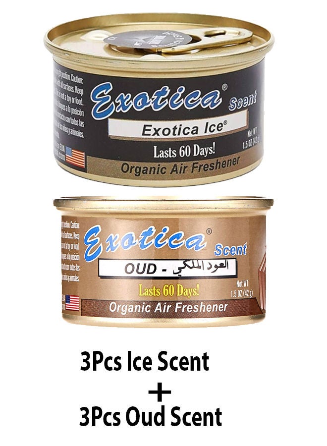 EXOTICA Organic Air Freshener Value Pack 6 pcs, Ice Scent-3 and Oud Scent-3 - Image 2