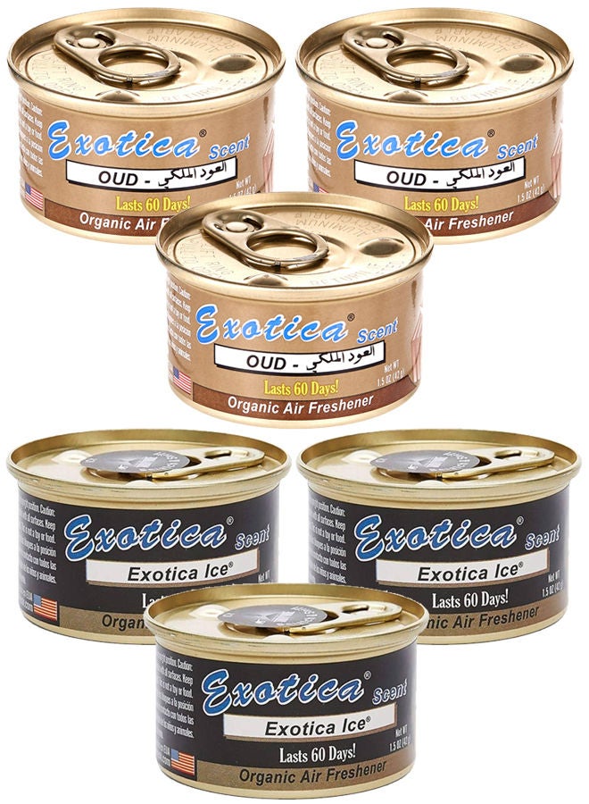 EXOTICA Organic Air Freshener Value Pack 6 pcs, Ice Scent-3 and Oud Scent-3 - Image 1