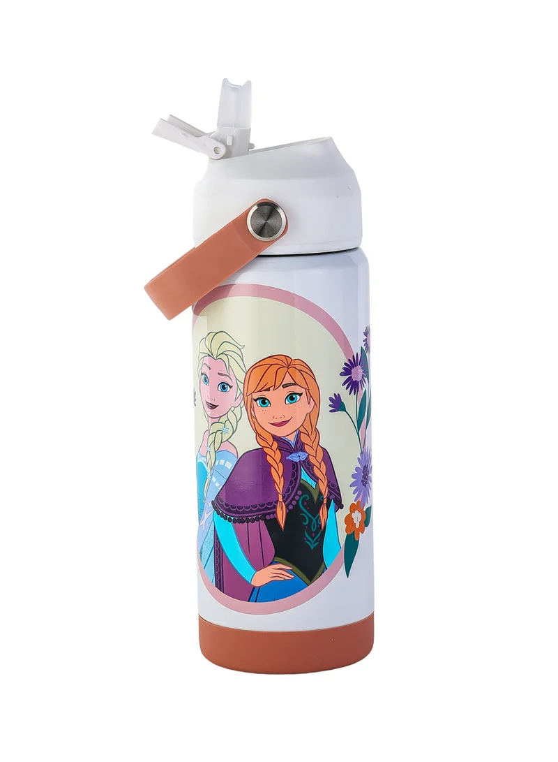 Disney Frozen Regular Stainless Steel Water Bottle 500ML | Kids Insulated Water Bottle | Elsa & Anna Drink Bottle