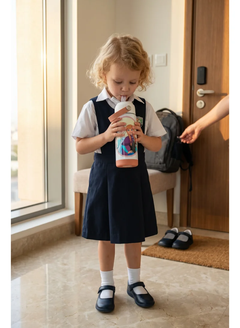Disney  Disney Frozen Regular Stainless Steel Water Bottle 500ML | Kids Insulated Water Bottle | Elsa & Anna Drink Bottle for Women | Best Price UAE