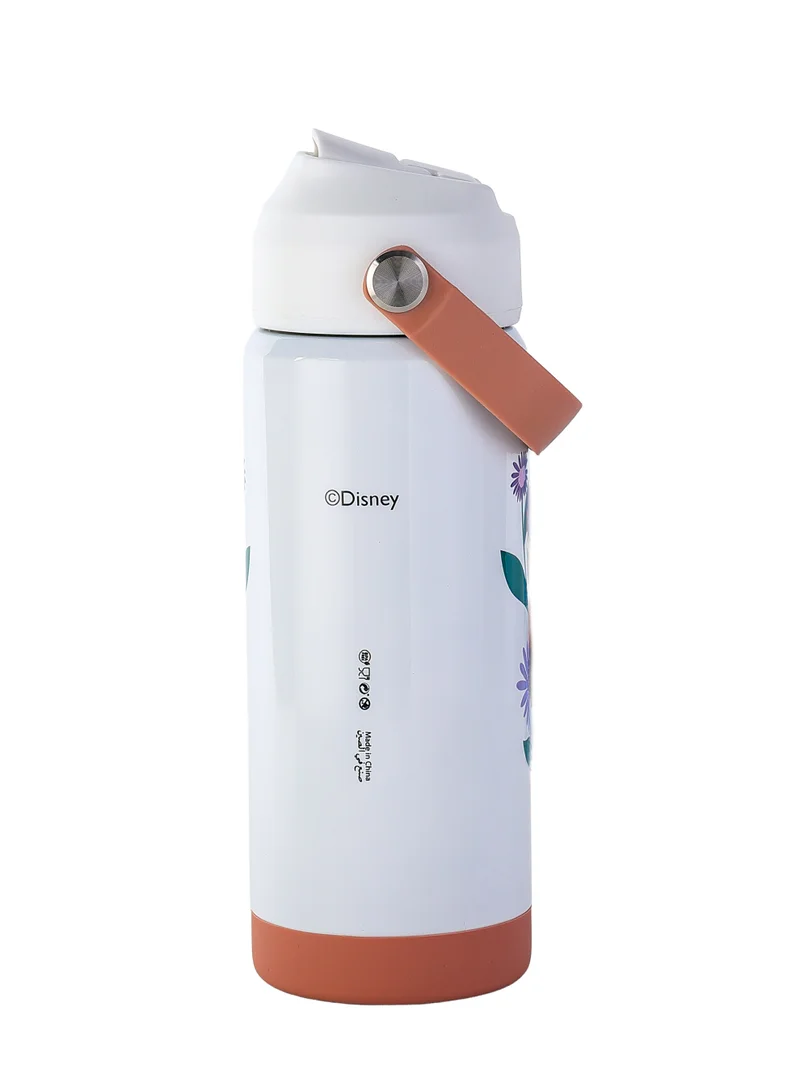 Disney  Disney Frozen Regular Stainless Steel Water Bottle 500ML | Kids Insulated Water Bottle | Elsa & Anna Drink Bottle for Women | Best Price UAE