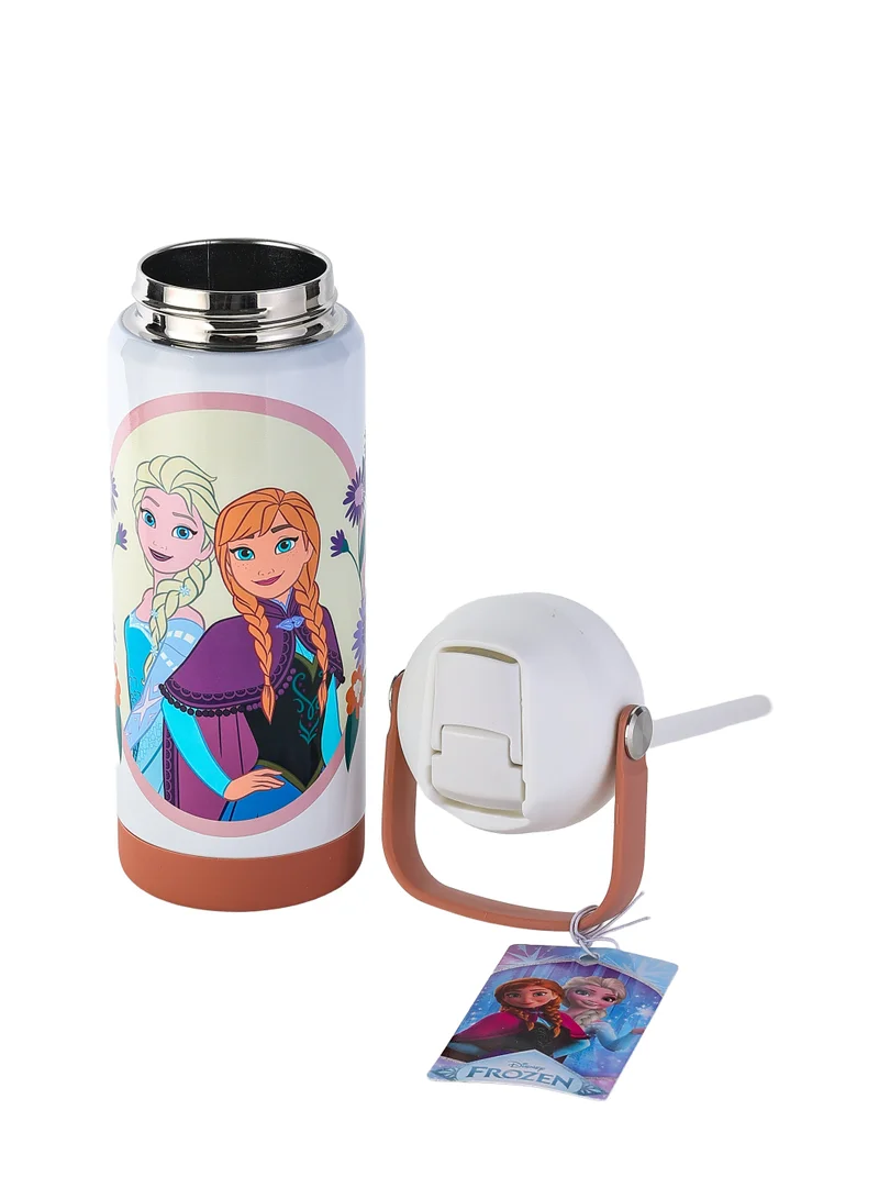 Disney  Disney Frozen Regular Stainless Steel Water Bottle 500ML | Kids Insulated Water Bottle | Elsa & Anna Drink Bottle for Women | Best Price UAE