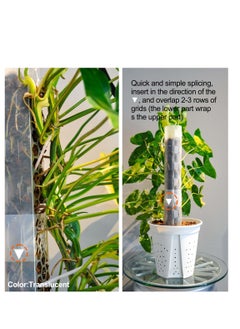 Generic 2 Pcs 17 Inch Plastic Moss Pole for Plants Monstera, Designed Specifically for Climbing Plants, Stackable Plant Support,  Indoor Plants Plant Support Poles Work with Sphagnum Moss  - Image 3