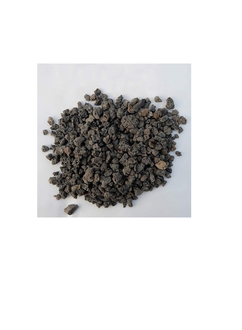Generic Black Horticultural Lava Rock Soil Additive for Cacti Succulents Plants No Dyes or Chemicals 100% Pure Volcanic Rock 2.2LB Top Dressing  - Image 2