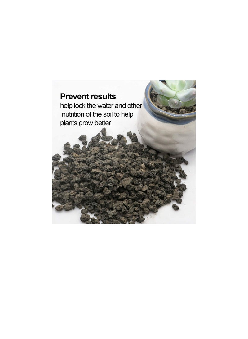 Generic Black Horticultural Lava Rock Soil Additive for Cacti Succulents Plants No Dyes or Chemicals 100% Pure Volcanic Rock 2.2LB Top Dressing  - Image 3