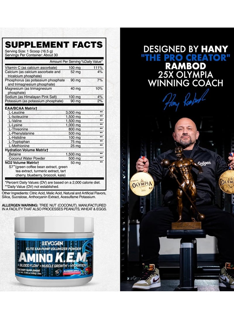 أيفوجن نيوتريشن امينو كيم الأحماض الأمينية الاساسية توت وتفاح 495 جم - Image 2