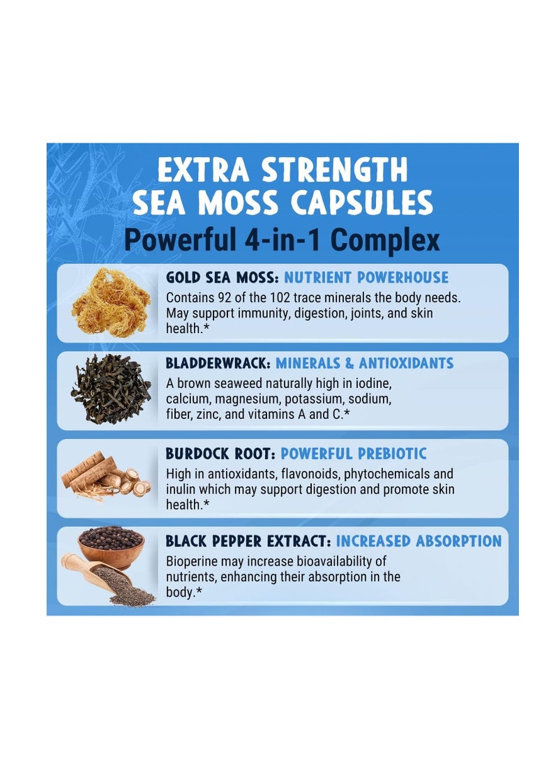 Maju Superfoods 4 in 1 extra strength wild sea moss 60 Capsules  - Image 2
