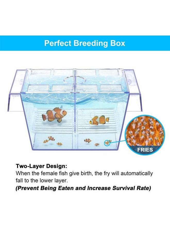 DATOO DaToo Fish Breeding Box Aquarium Holding Tank Transparent Fish Isolation Box Acclimation Hatchery Incubator Breeder Box for Baby Fish Betta Shrimp Clownfish Guppy  - Image 3