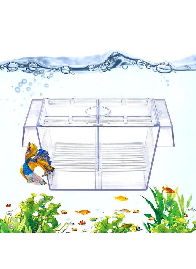 DATOO DaToo Fish Breeding Box Aquarium Holding Tank Transparent Fish Isolation Box Acclimation Hatchery Incubator Breeder Box for Baby Fish Betta Shrimp Clownfish Guppy  - Image 1