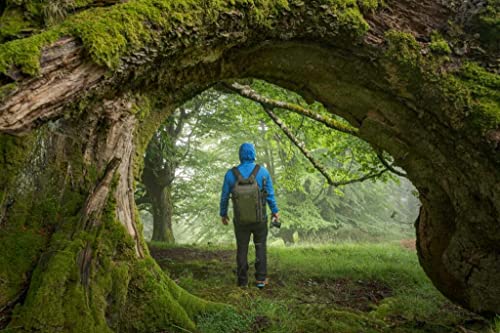 VANGUARD حقيبة VANGUARD VEO Select 48BF لكاميرا DSLR - أخضر - Image 2