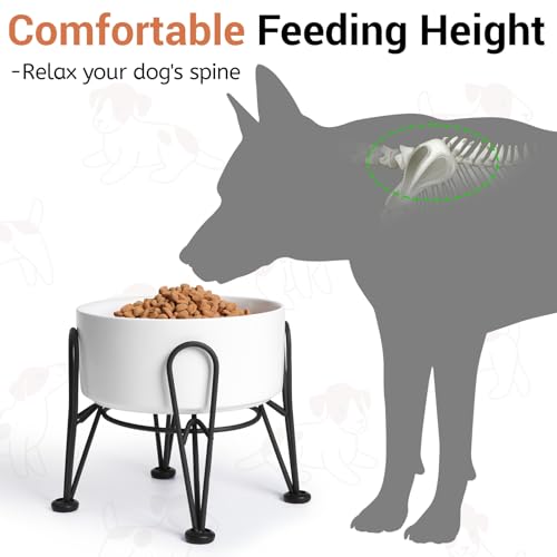 Kitwinney Elevated Dog Bowls Ceramic Raised Dog Bowl Set with AntiSlip and NonTip Metal Stand 2 Pack Pet Food and Water Feeding Bowls for Small and Medium Dogs White36 Cups - Image 3