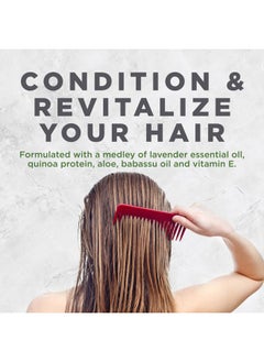 Avalon Organics Conditioner, Nourishing Lavender, 32 oz  - Image 4