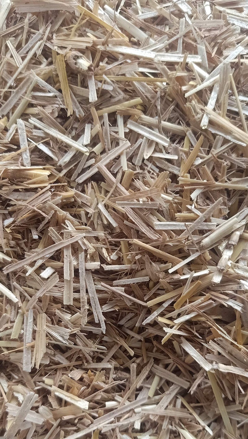 VISION CRAFTED Wheat Straw in Cut Form for Mushroom Farming and Gardening/Wheat Straw, Wheat Straw Mulch/Wheat Straw for Mushroom - shrubs and General beds Mulch (1 KG) - Image 2
