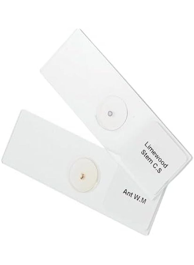 Microscope Bottom LED Light With Adjustable Brightness And Anti Scratch Glass Panel Size A - Image 5