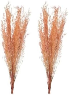 Yatai 2Pcs Natural Preserved Pampas Grass, Dried Caspia Flower For Vase Filling, Eco-Friendly, Long-Lasting Boho Decor Dried Flowers, Natural Dried Pampas Grass For Home Decor, Office Decor (P-Purple) - pzsku/ZE3C764DAA0944547B951Z/45/_/1716820233/4791117c-1837-4d9f-a1ba-8d9537df20d0