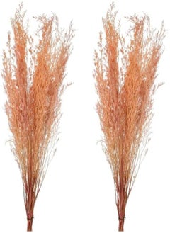 Yatai 2Pcs Natural Preserved Pampas Grass, Dried Caspia Flower For Vase Filling, Eco-Friendly, Long-Lasting Boho Decor Dried Flowers, Natural Dried Pampas Grass For Home Decor, Office Decor (P-Purple) - pzsku/ZE3C764DAA0944547B951Z/45/_/1716820234/73b94b90-d265-4c74-abe9-65c44fa41cb7