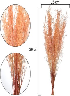 Yatai 2Pcs Natural Preserved Pampas Grass, Dried Caspia Flower For Vase Filling, Eco-Friendly, Long-Lasting Boho Decor Dried Flowers, Natural Dried Pampas Grass For Home Decor, Office Decor (P-Purple) - pzsku/ZE3C764DAA0944547B951Z/45/_/1716820234/8d85b4e9-8c6c-476f-bc2d-bc1df1cca83a