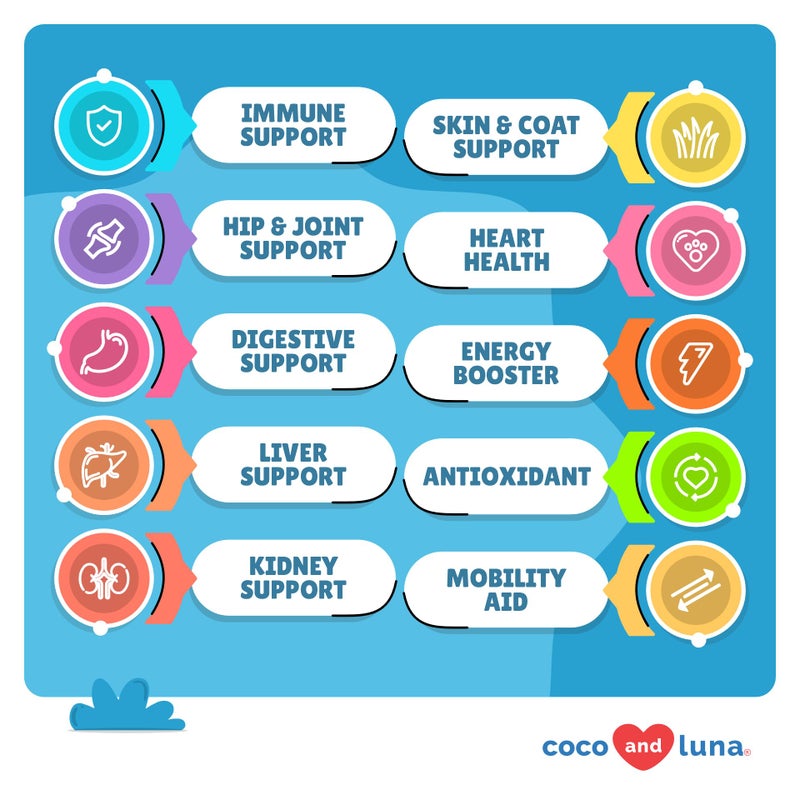 Coco and Luna متعدد الفيتامينات للكلاب - 120 قرص قابل للمضغ مع الجلوكوزامين والكوندرويتين - زيت السمك والفيتامينات مع Coq10 لصحة الجلد والقلب، دعم الجهاز الهضمي والمناعة - Image 2